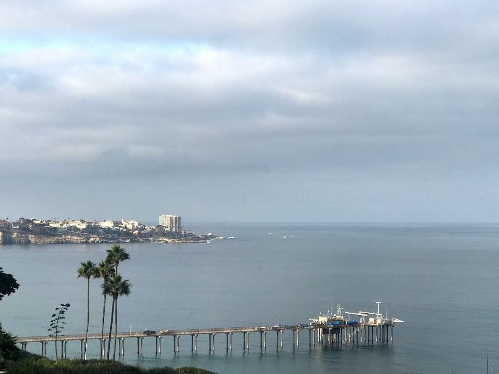 Pinpoint Cafe | 8755 Biological Grade, La Jolla, CA 92037, USA | Phone: (858) 952-2550 Pinpoint Cafe | 8755 Biological Grade, La Jolla, CA 92037, USA | Phone: (858) 952-2550