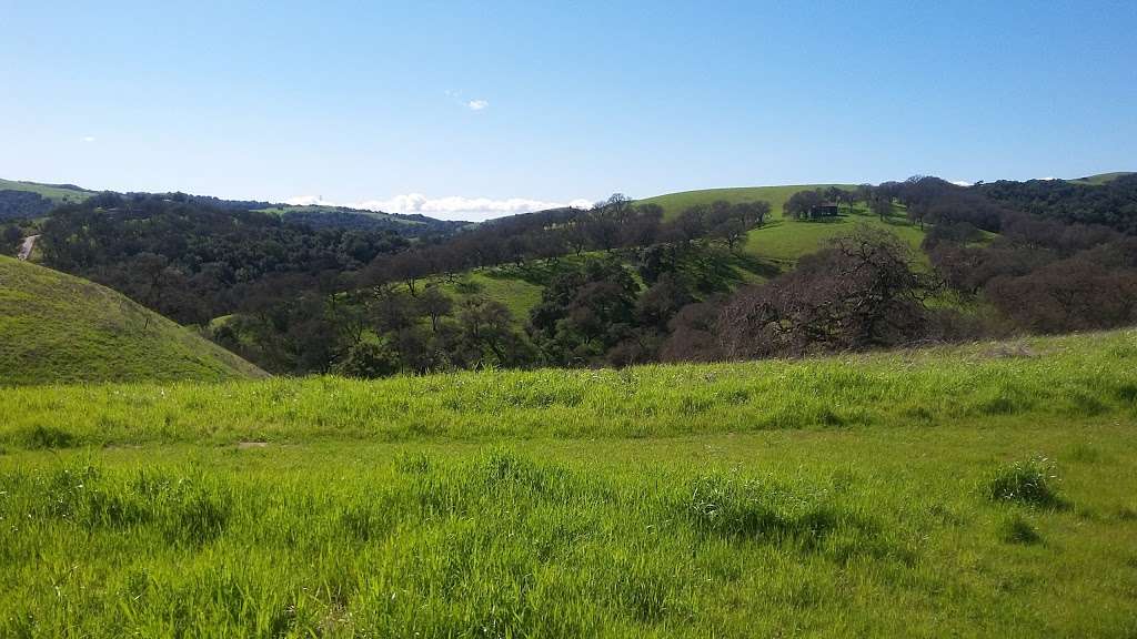 Mount Wanda Trailhead | Cal Riding & Hiking Trail, Martinez, CA 94553, USA