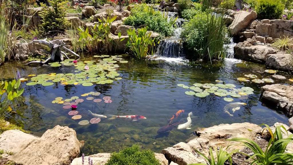 Pond Country | 182 E Plaza Dr, Mooresville, NC 28115, USA | Phone: (980) 247-2999