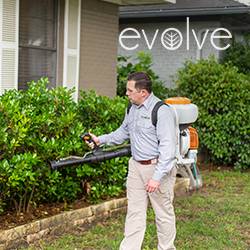 Evolve Pest Control | 4132B Billy Mitchell Dr, Addison, TX 75001, USA | Phone: (469) 498-1860