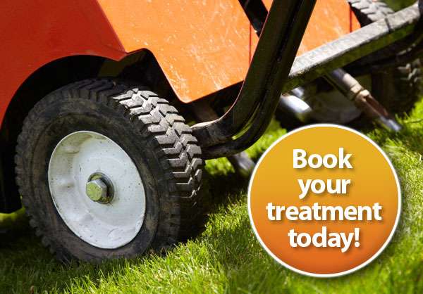 Greensleeves Lawn Care Tunbridge Wells | Roween, Mill Hill, Edenbridge TN8 5DQ, UK | Phone: 01732 490311