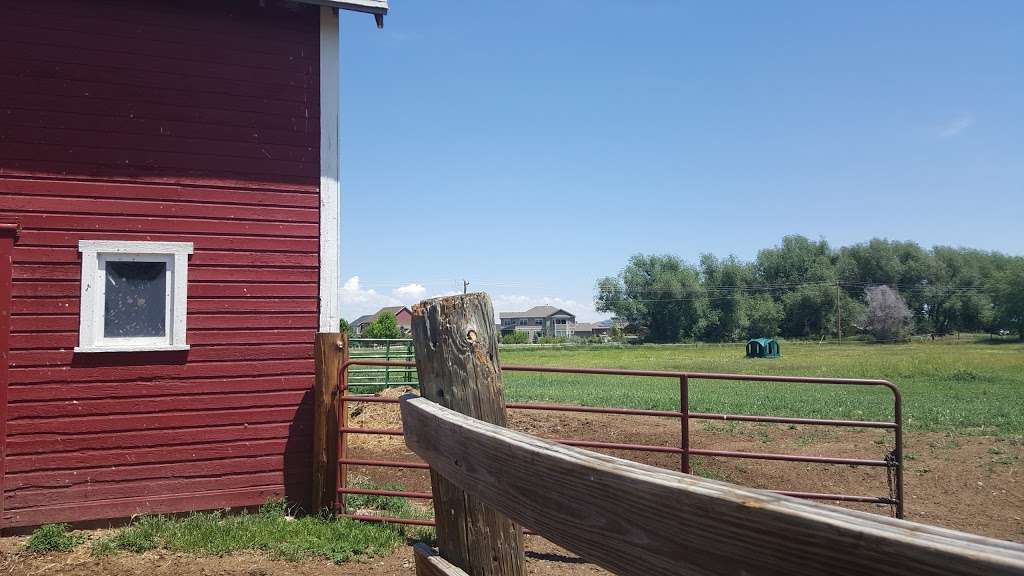 Rinn Valley Horse Farms | 3239-3275 Bella Rosa Pkwy, Longmont, CO 80504, USA