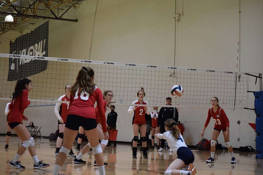 OTL Volleyball | 18833 N 36th Pl, Phoenix, AZ 85050, USA | Phone: (602) 908-2463