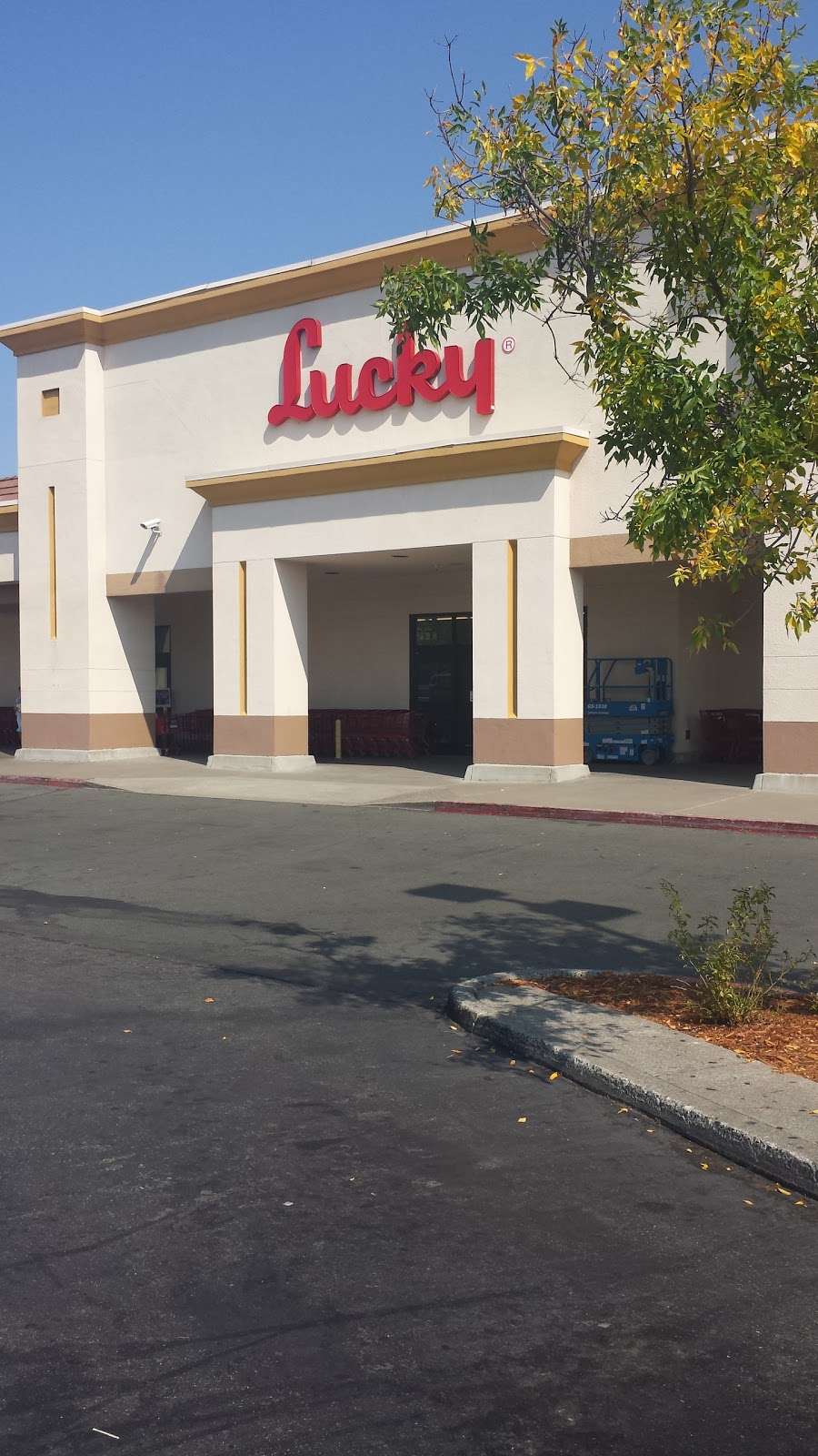 Lucky | 1145 Arnold Dr, Martinez, CA 94553, USA | Phone: (925) 372-8661