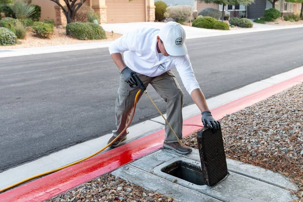 Pest Pros Las Vegas | 7271 Bugler Swan Way, North Las Vegas, NV 89084 | Phone: (702) 969-7767