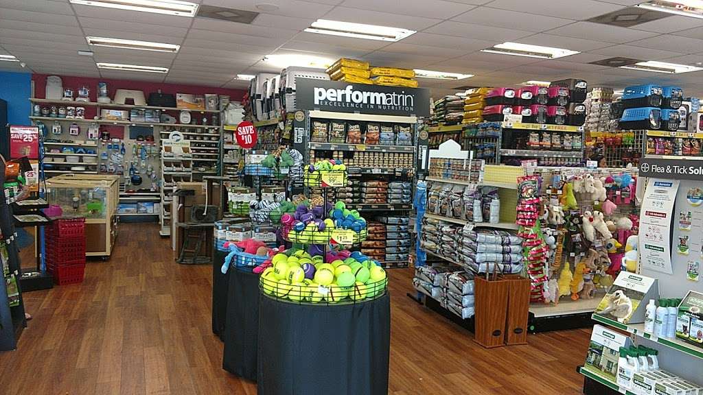 Pet Supermarket | 1511 N Woodland Blvd, DeLand, FL 32720, USA | Phone: (386) 736-7458