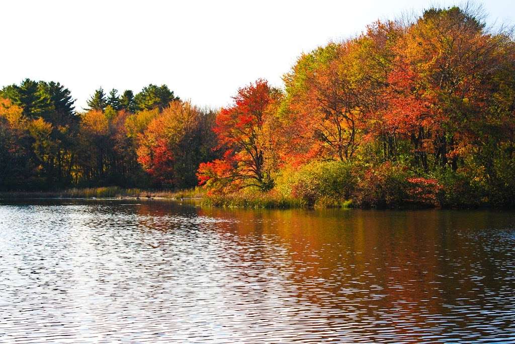 Carding Mill Pond | 102 Dutton Rd, Sudbury, MA 01776, USA