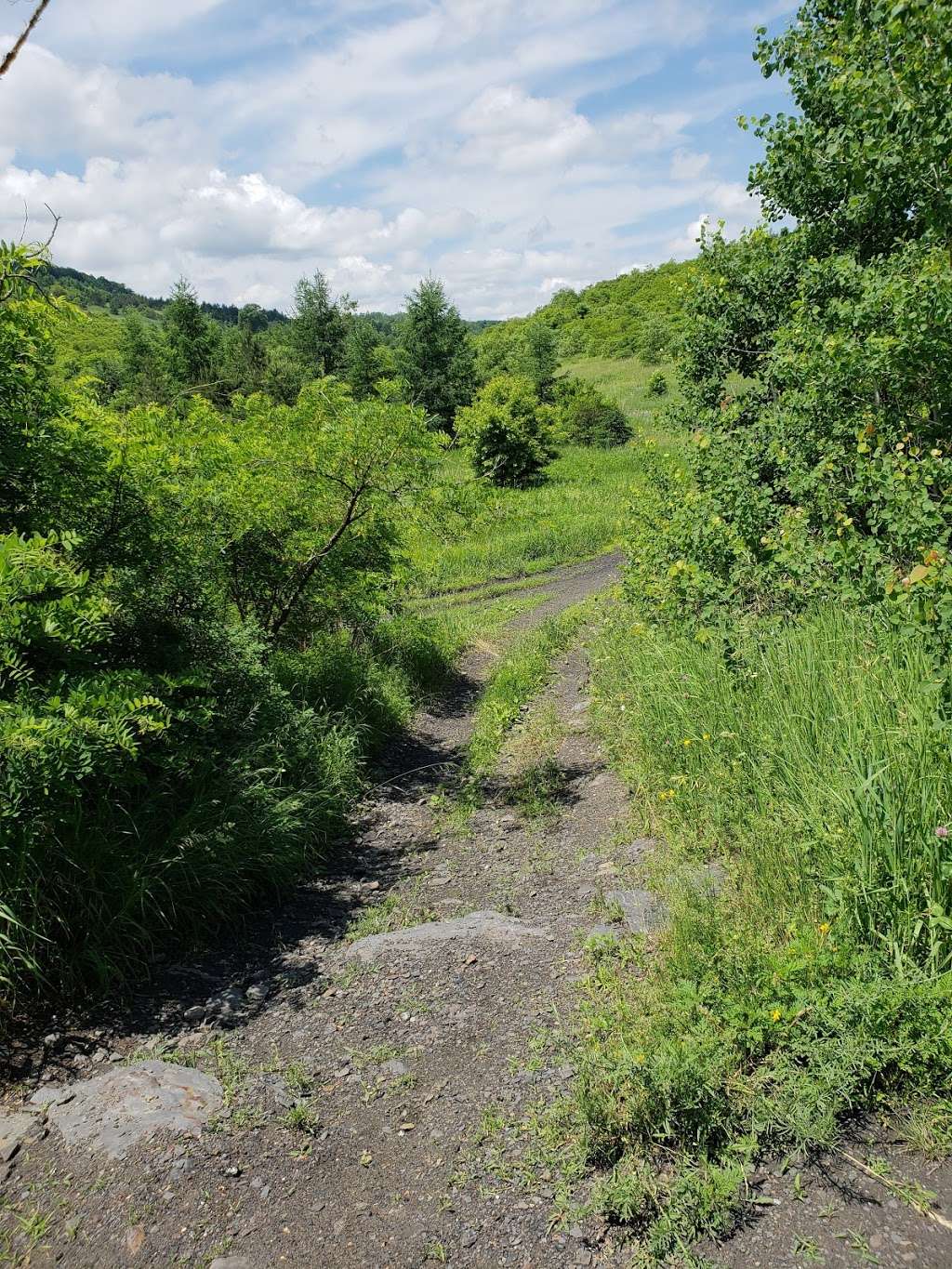 Penobscot Ridge Mountain Bike Trail | Penobscot Ridge Mountain Bike Trail, Nanticoke, PA 18634, USA