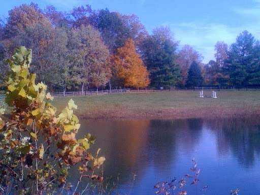 Pond View Stables | 9529 Lees Mill Rd, Warrenton, VA 20186 | Phone: (540) 878-0691