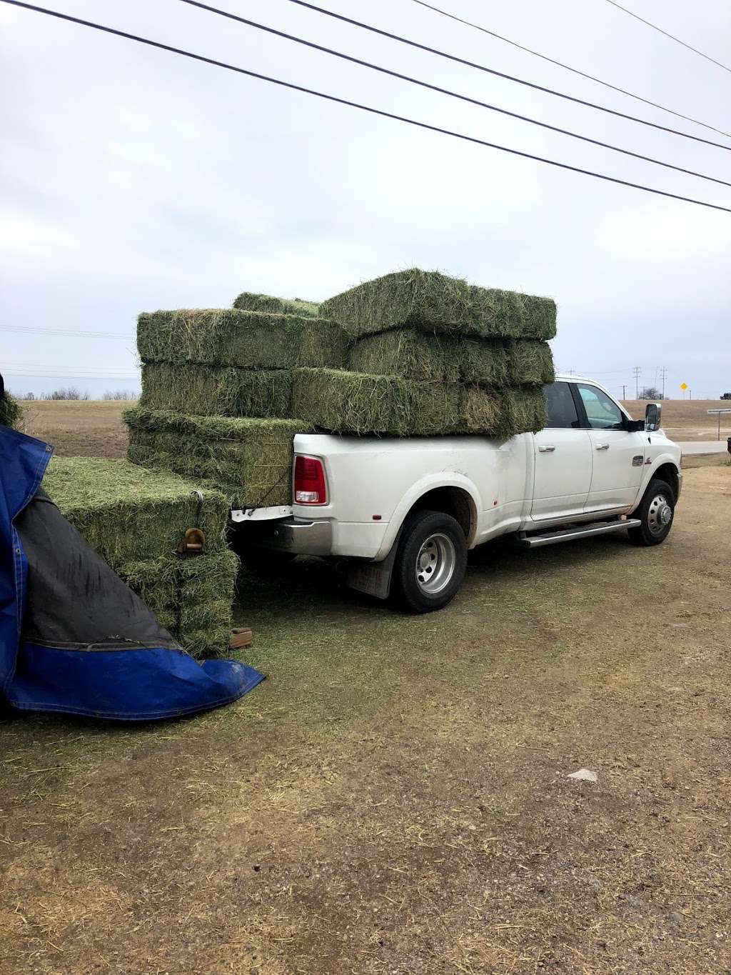 My Farm “El Güero” hay sale | 3650 TX-1604 Loop, San Antonio, TX 78264 | Phone: (432) 235-4227