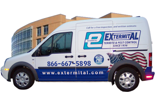 Extermital Pest Control Columbus | 4889 Sawmill Rd, Columbus, OH 43235, USA | Phone: (614) 233-2256