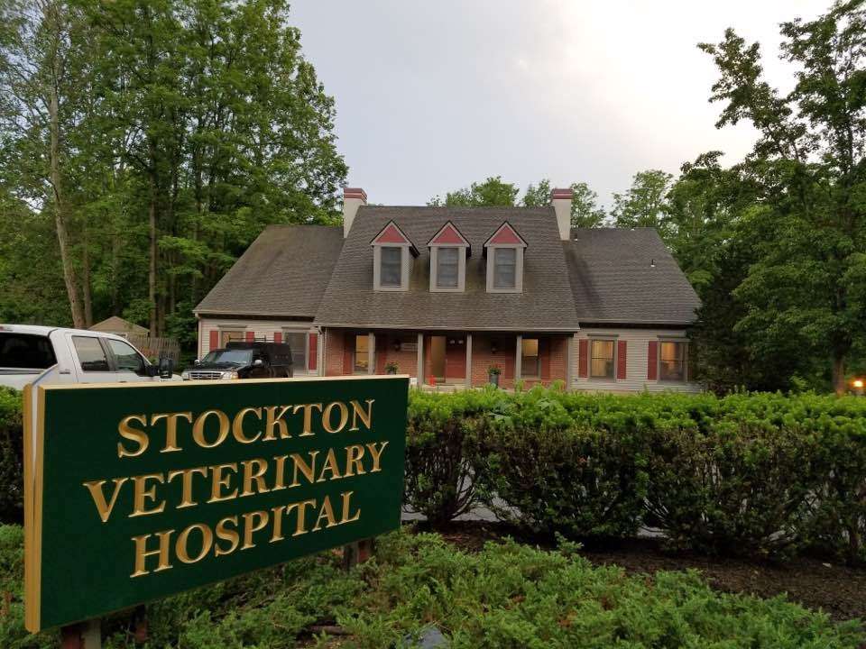 Stockton Veterinary Hospital | 56 S Main St, Stockton, NJ 08559, USA | Phone: (609) 483-2590