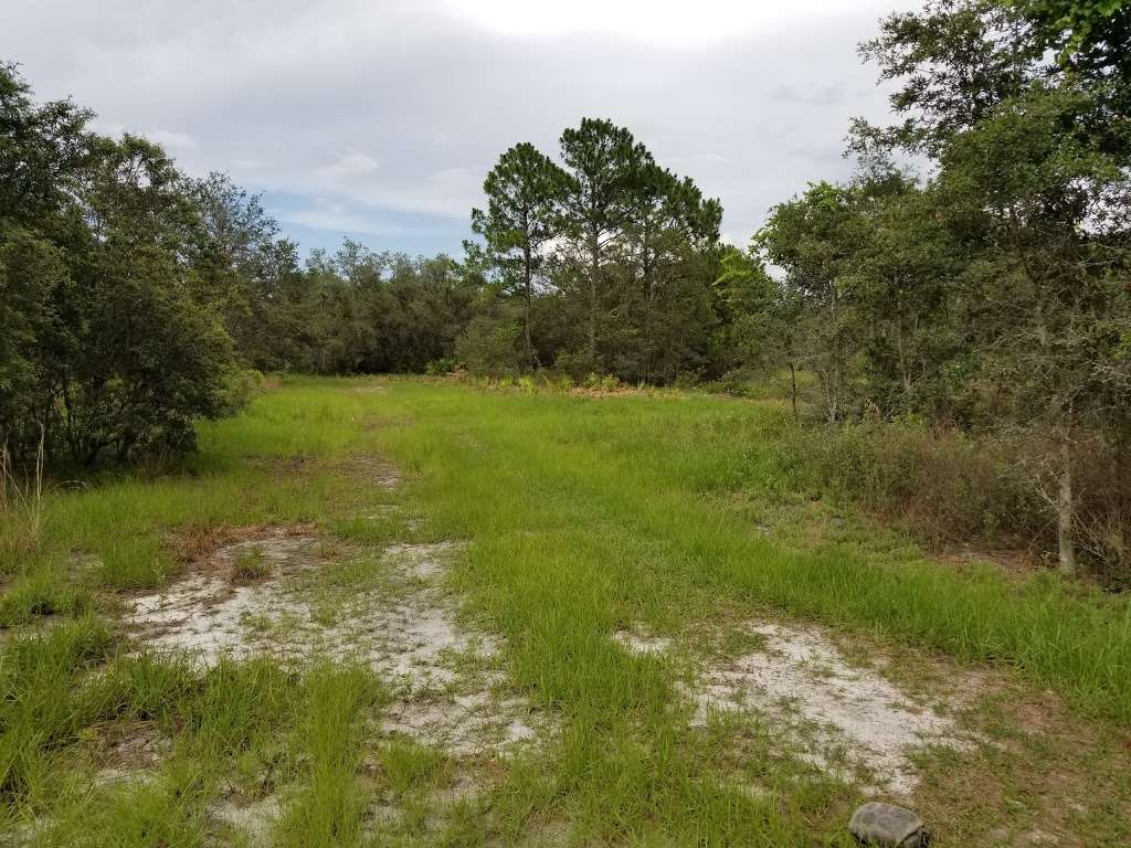 Osprey Unit, Hilochee Wildlife Management Area - Olivers Trail | 10701 Old Grade Rd, Polk City, FL 33868, USA | Phone: (863) 648-3200