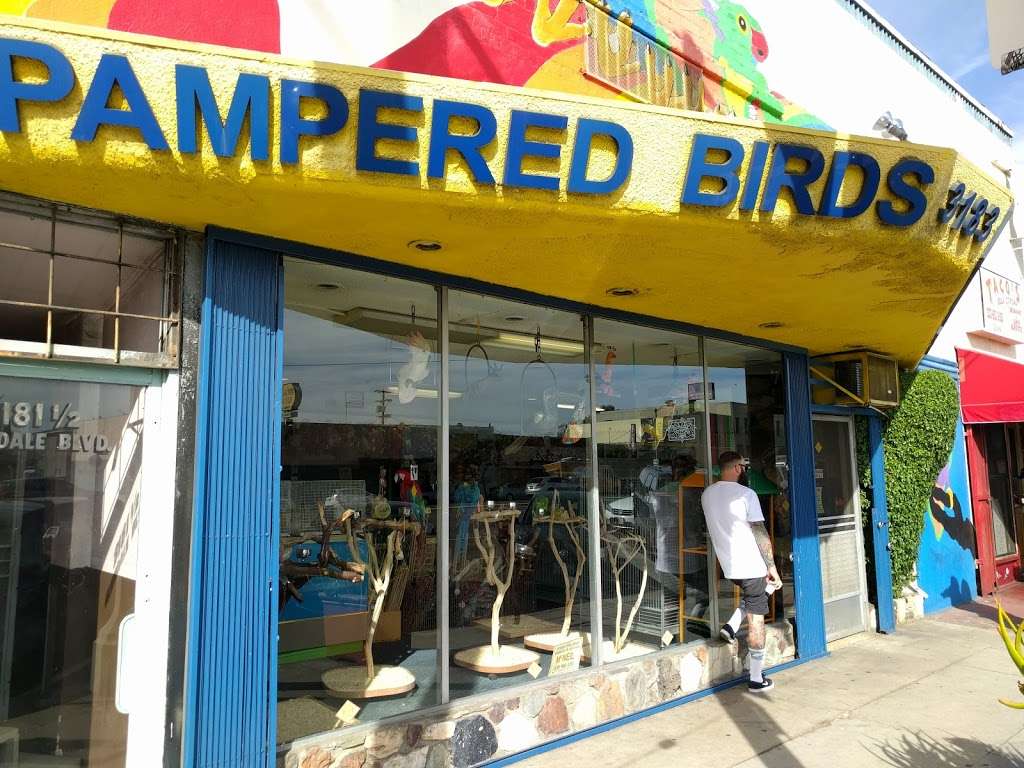 Pampered Birds | 3183 Glendale Blvd, Los Angeles, CA 90039, USA | Phone: (323) 662-7807