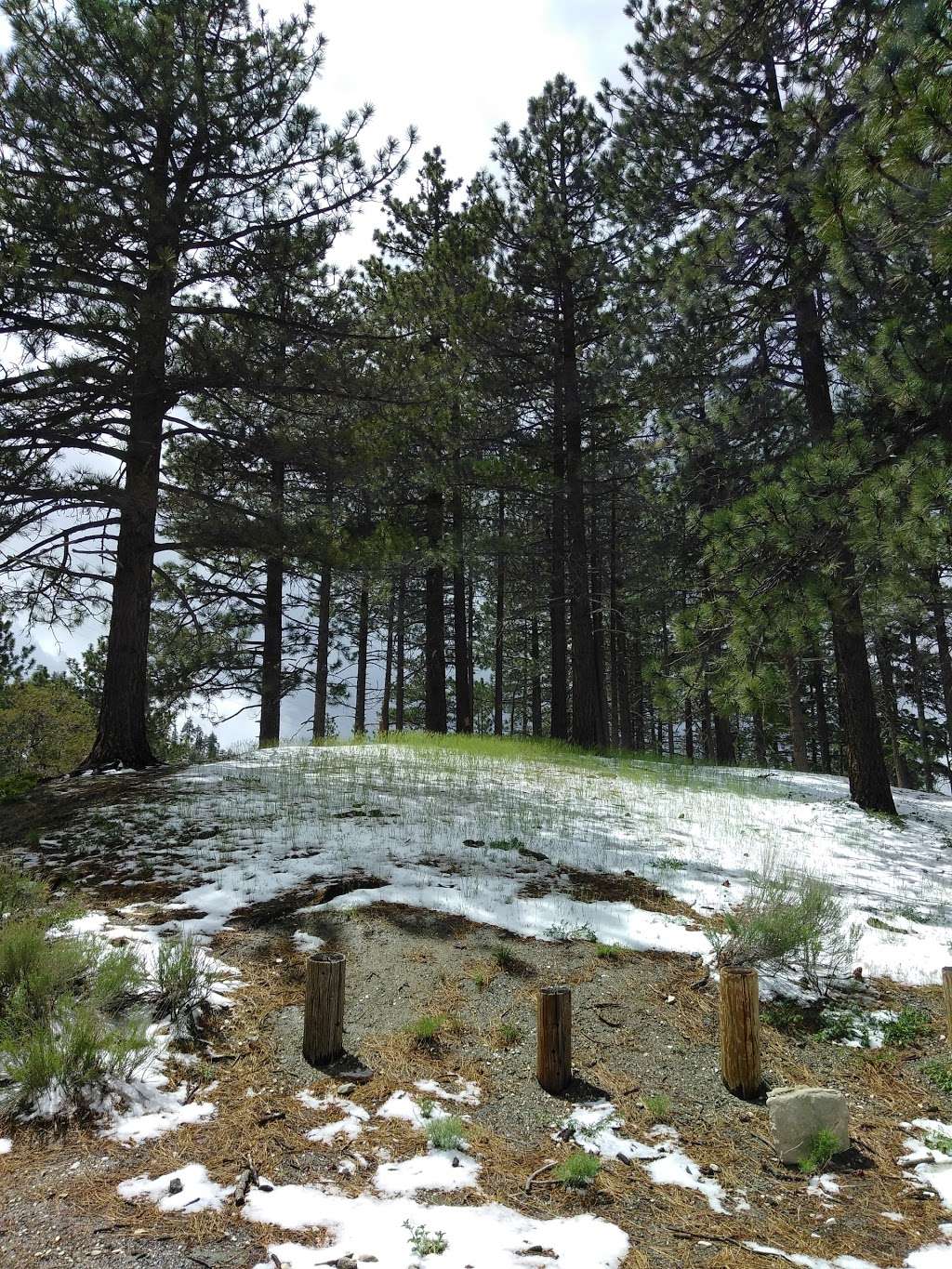 Arch Picnic Area | 34°2249.4"N 117°4141., CA-2, Valyermo, CA 93563