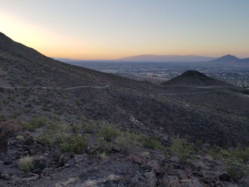 Verdin Point | Amargosa Trail, Henderson, NV 89012, USA