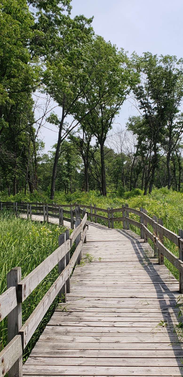 Gibson Woods Nature Preserve | 6201 Parrish Ave, Hammond, IN 46323 | Phone: (219) 844-3188