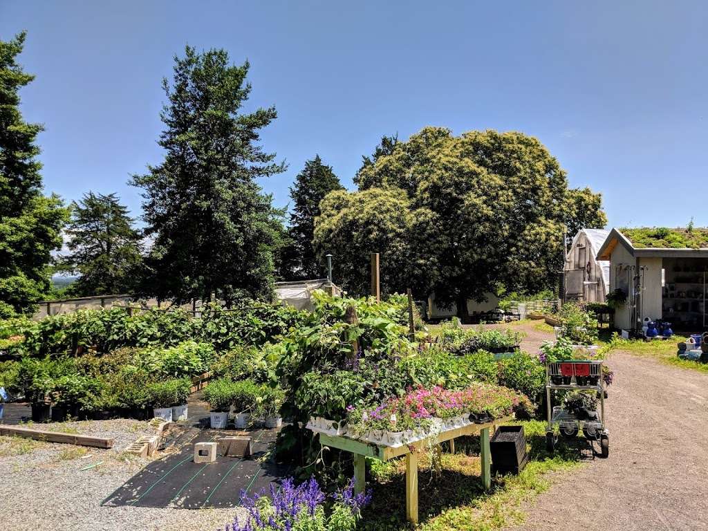 Windmill Heights Garden Center | 1901 Broad St, Culpeper, VA 22701, USA | Phone: (540) 825-2059