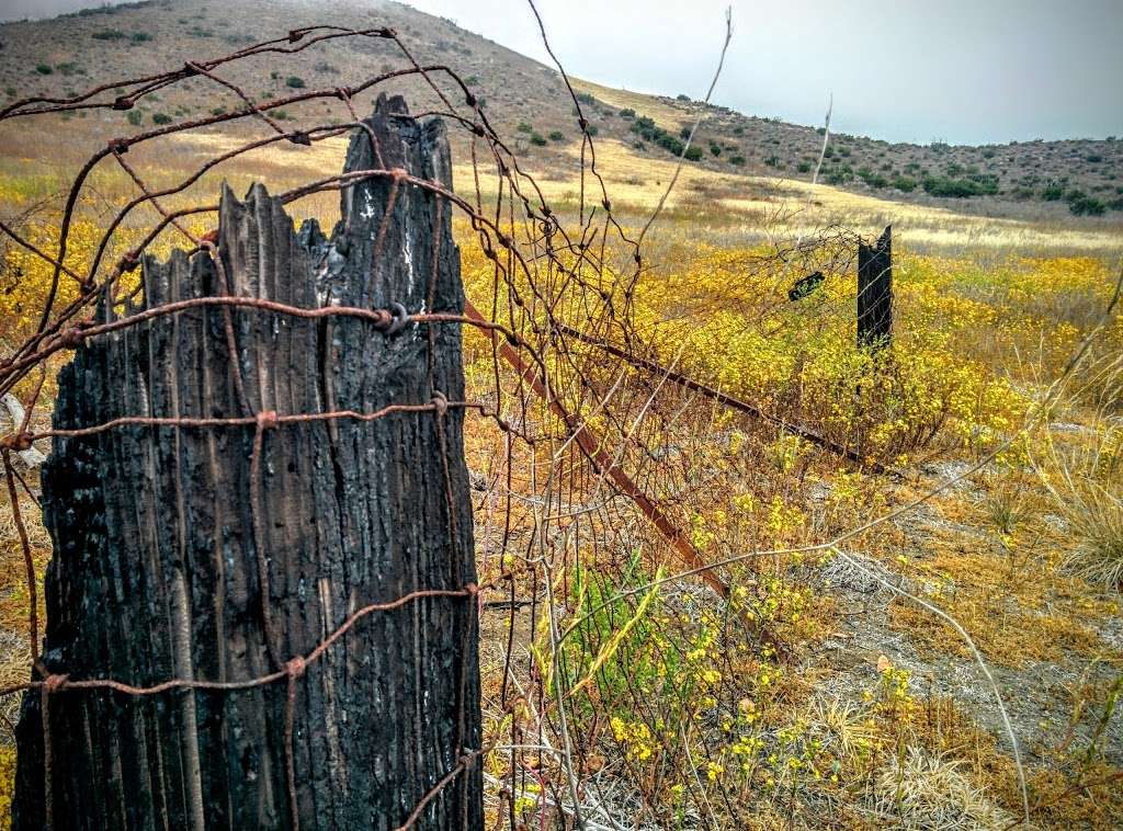 Point Mugu State Park | 9000 Pacific Coast Hwy, Malibu, CA 90265 | Phone: (310) 457-8143