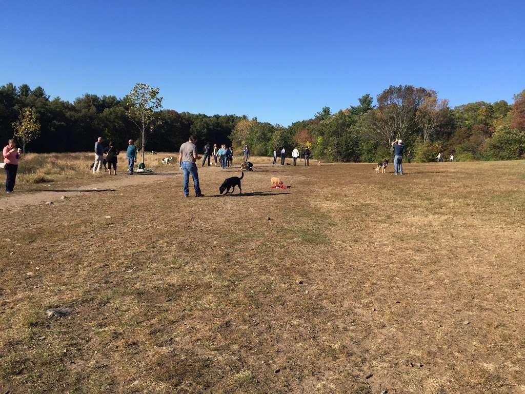 Sheepfold Dog Park | Fells Path, Stoneham, MA 02180 | Phone: (617) 727-1199 ext. 406