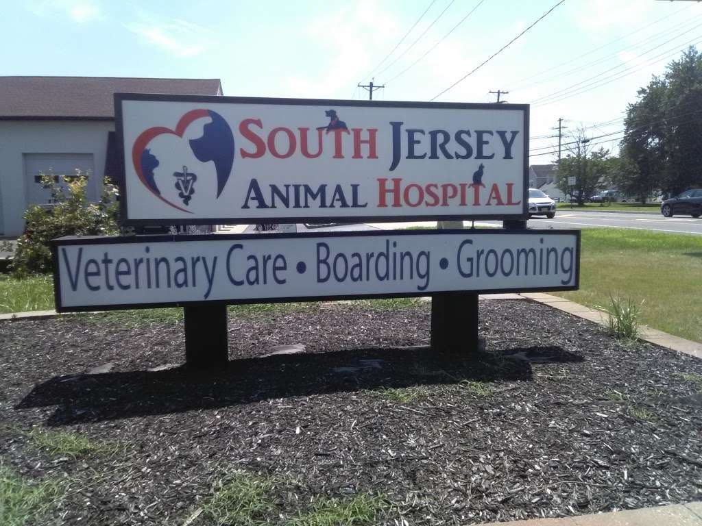 South Jersey Animal Hospital | 204 Medford Mt Holly Rd, Medford, NJ 08055, USA | Phone: (609) 654-0300