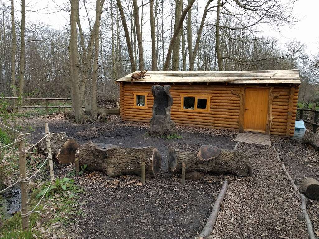 Norsey Wood Local Nature Reserve | Outwood Common Rd, Billericay CM11 1HA, UK | Phone: 01277 624553