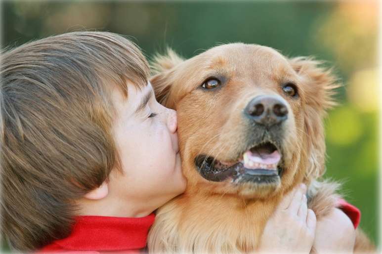 McHenry Pet Hospital | 1701 IL-120, McHenry, IL 60051, USA | Phone: (815) 322-2397
