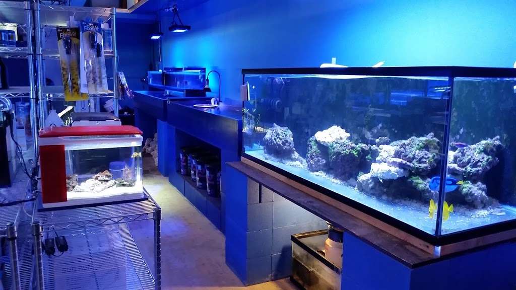 Deep Blue Aquarium | 5611 Willowcrest Ave, North Hollywood, CA 91601, USA | Phone: (818) 934-9716