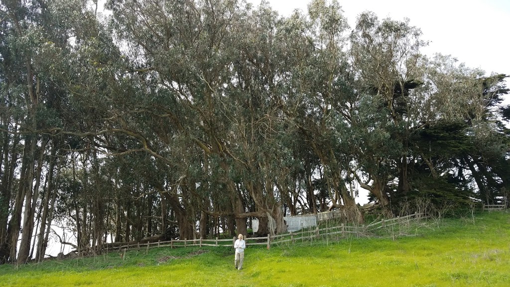 Historic Life-Saving Station Cemetery | 18618-19084 Sir Francis Drake Blvd, Point Reyes Station, CA 94956