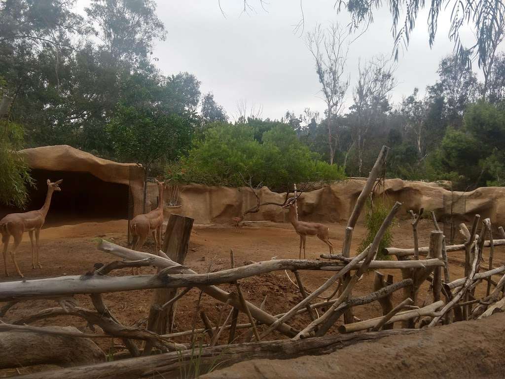 Mad Art Studio 41 | 1770 Village Pl, San Diego, CA 92101, USA | Phone: (619) 238-1744