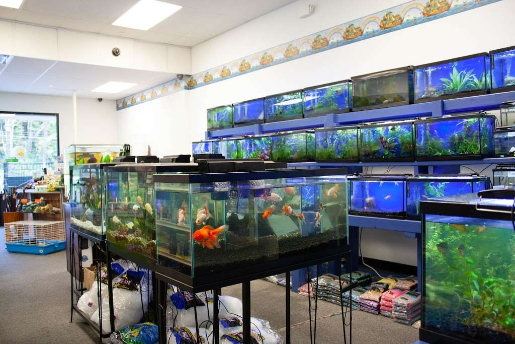 Noahs Ark Aquarium & Pet Shop | 31 NY-22, Pawling, NY 12564, USA | Phone: (845) 493-0642