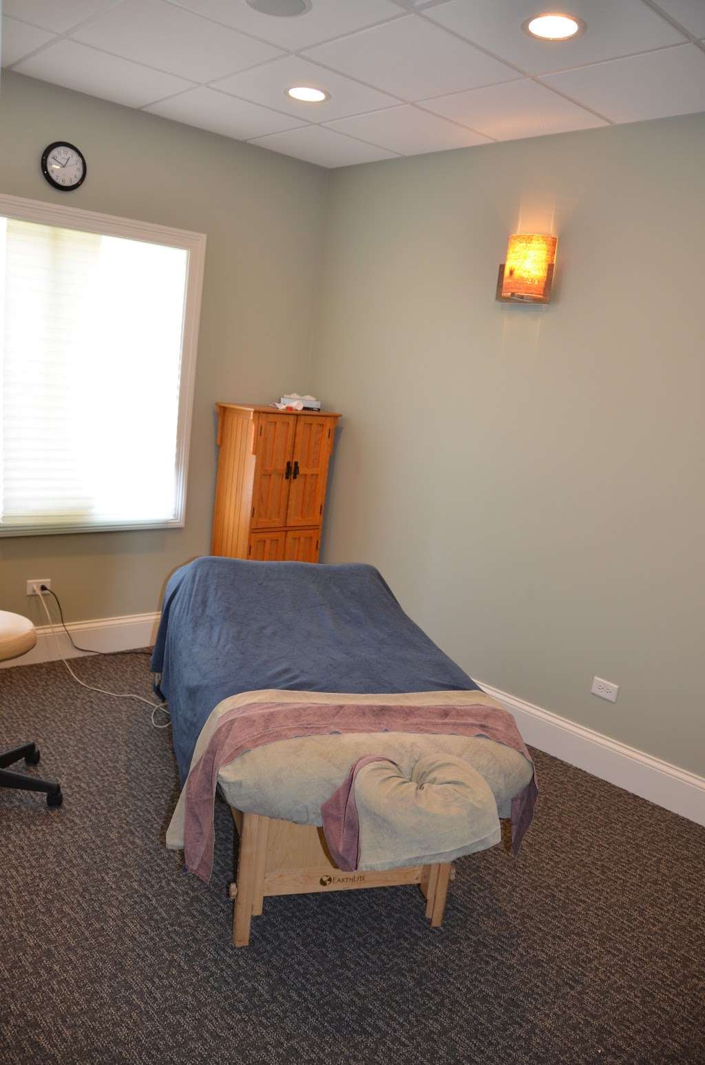 Menner Chiropractic | 110 S Wynstone Park Dr #105, North Barrington, IL 60010, USA | Phone: (847) 540-6060