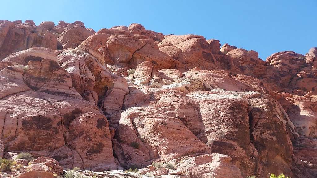 Calico Basin Trail | Calico Basin Rd, Las Vegas, NV 89161, USA | Phone: (702) 515-5350