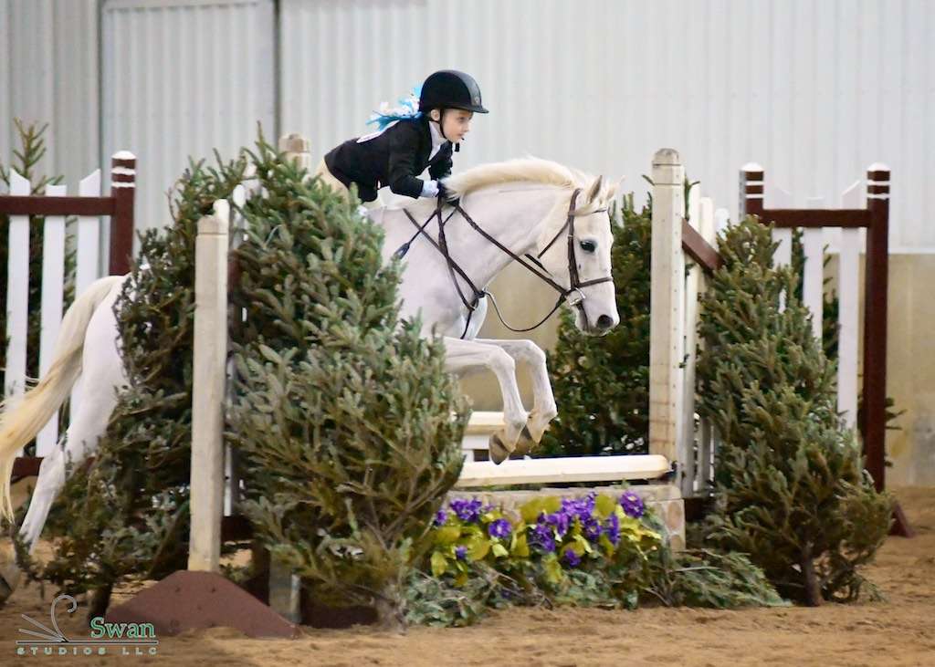 Campton Hills Equestrian Center | 10N331 Nesler Rd, Elgin, IL 60124, USA | Phone: (630) 417-9667