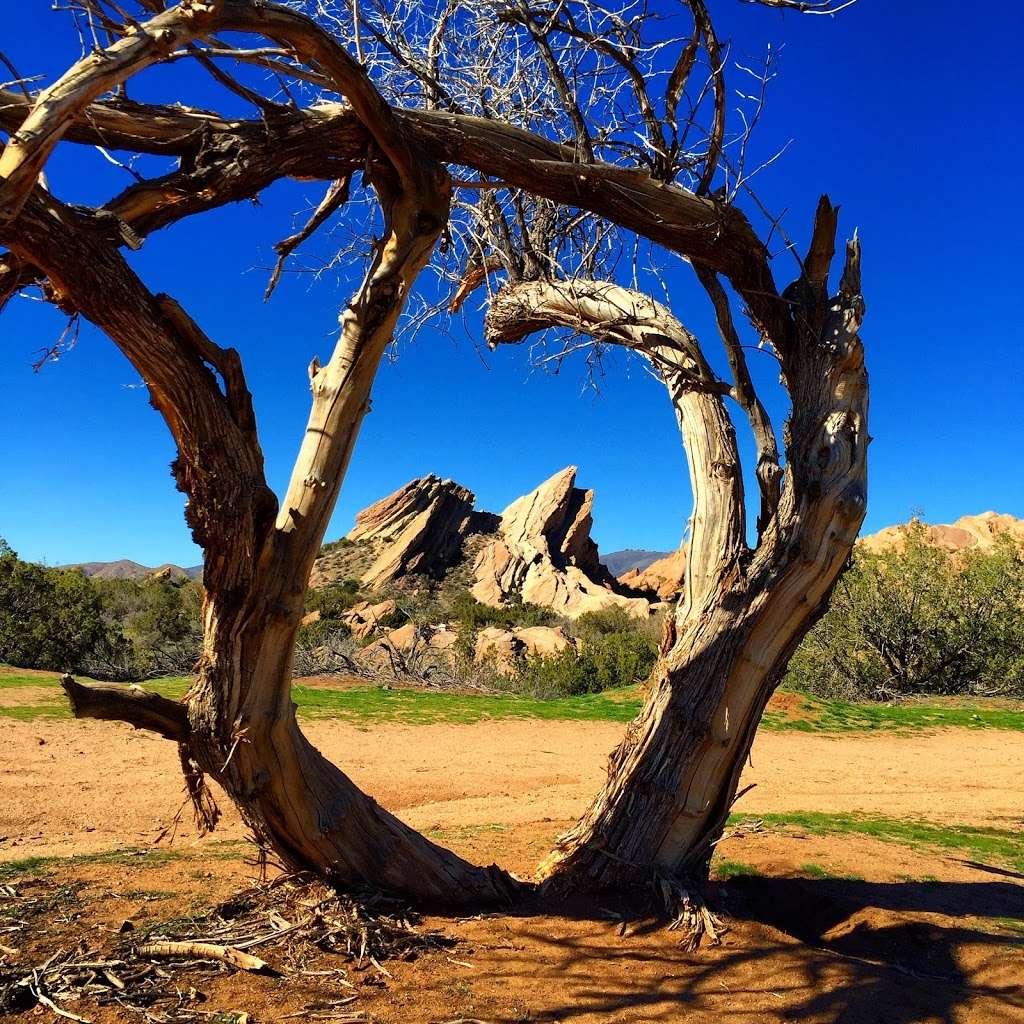 Vasquez Rocks Natural Area Park | 10700 Escondido Canyon Rd, Agua Dulce, CA 91350 | Phone: (661) 268-0840