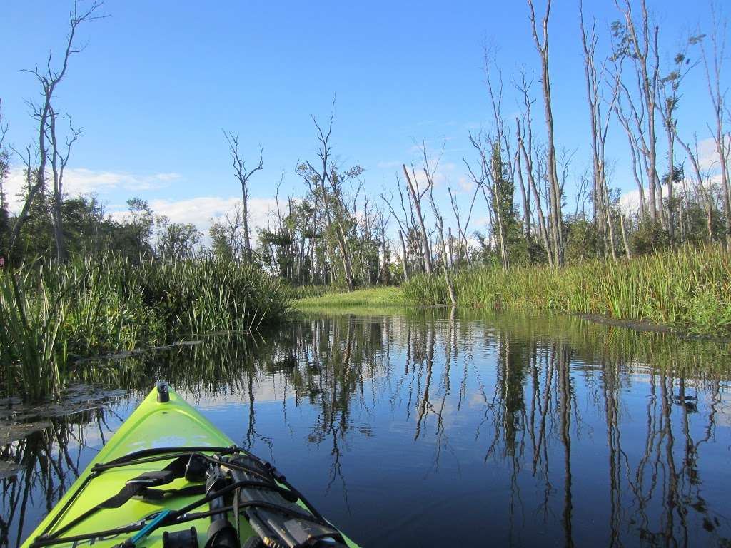 Great Swamp | Patterson, NY 12563, USA