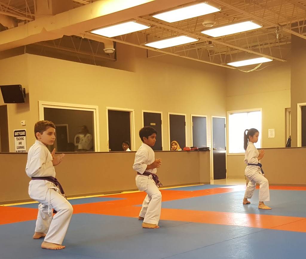 Shushinkan Karate | 2463 Dougall Ave, Windsor, ON N8X 1T3, Canada | Phone: (519) 250-3456