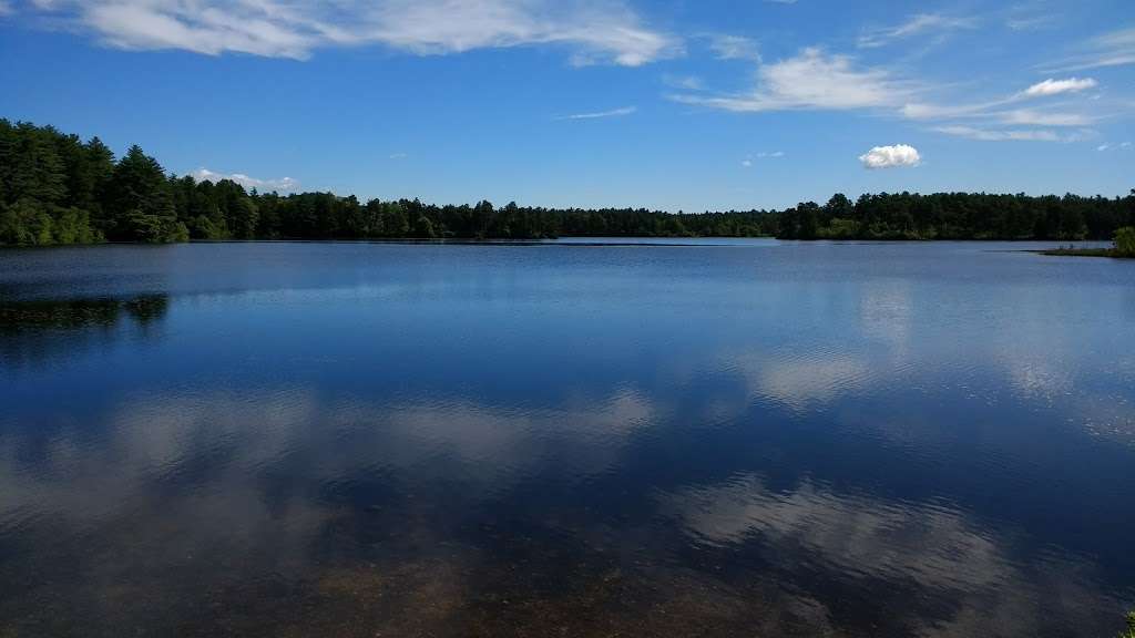 Myles Standish State Forest | 194 Cranberry Rd, Carver, MA 02330, USA | Phone: (508) 866-2526