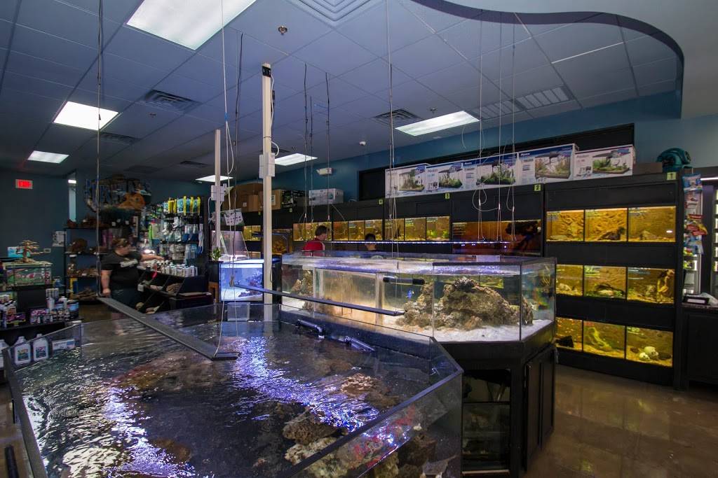Pisces Reef Fish Emporium, LLC | 10080 W Tropicana Ave #166, Las Vegas, NV 89147, USA | Phone: (702) 431-2370