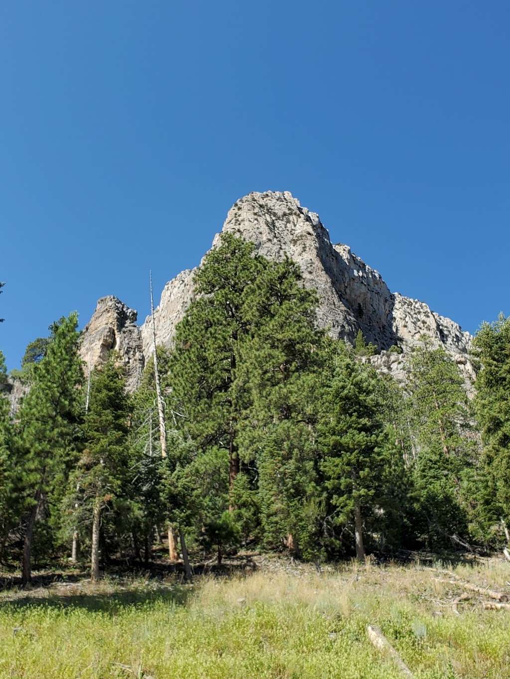 Cathedral Rock Group Picnic area | Mt Charleston, NV 89124, USA | Phone: (702) 872-5486