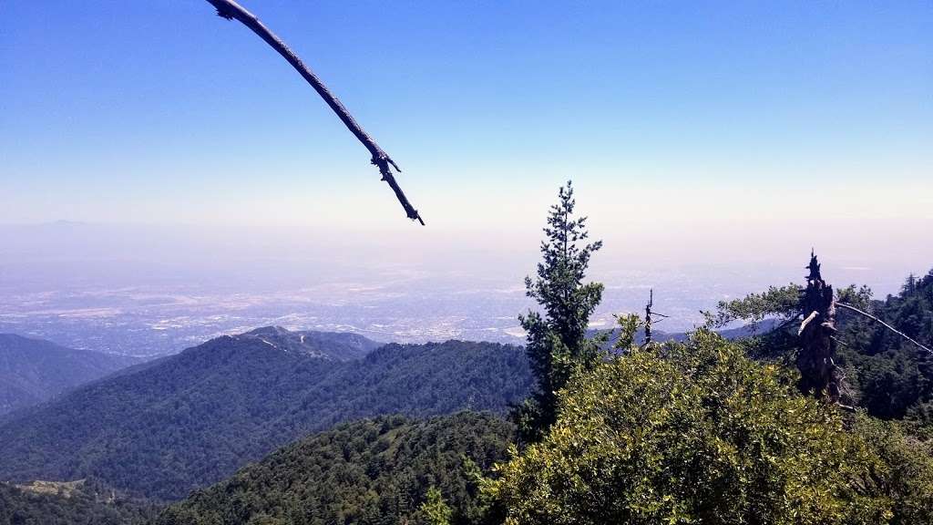 Sturtevant & Rim Trail | Angeles National Forest, Sturtevant Trail, Sierra Madre, CA 91024, USA