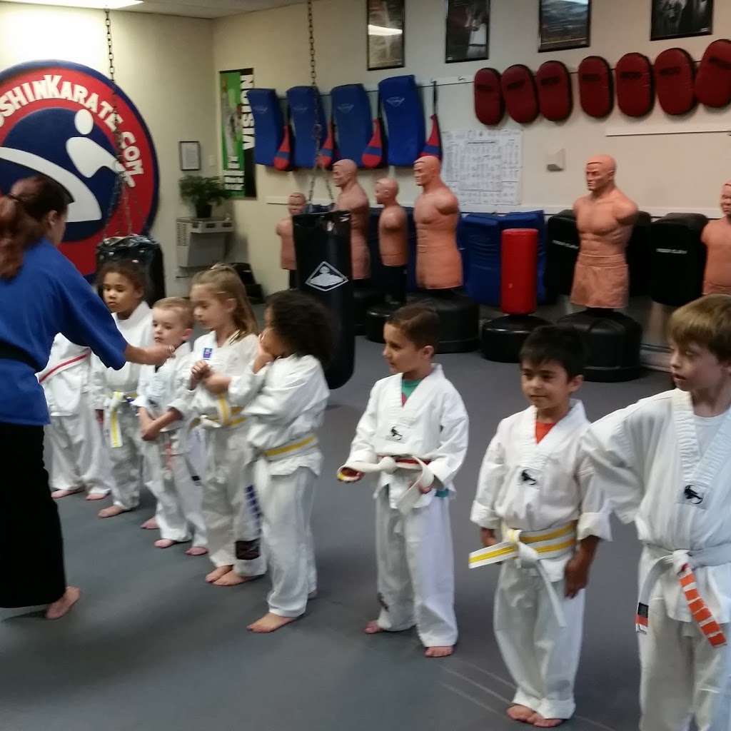 Goshin Karate & Judo Academy | 6245 E Bell Rd # 120, Scottsdale, AZ 85254 | Phone: (480) 951-2236