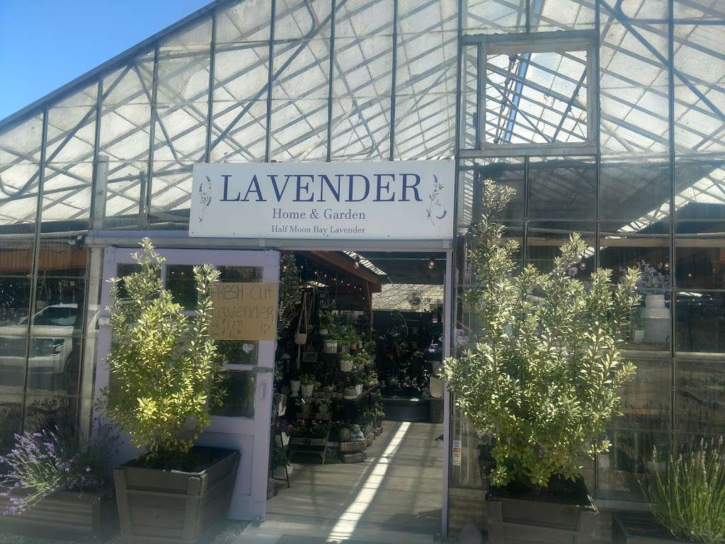 Halfmoon Bay Lavender | 12511 San Mateo Rd, Half Moon Bay, CA 94019, USA | Phone: (650) 704-6400