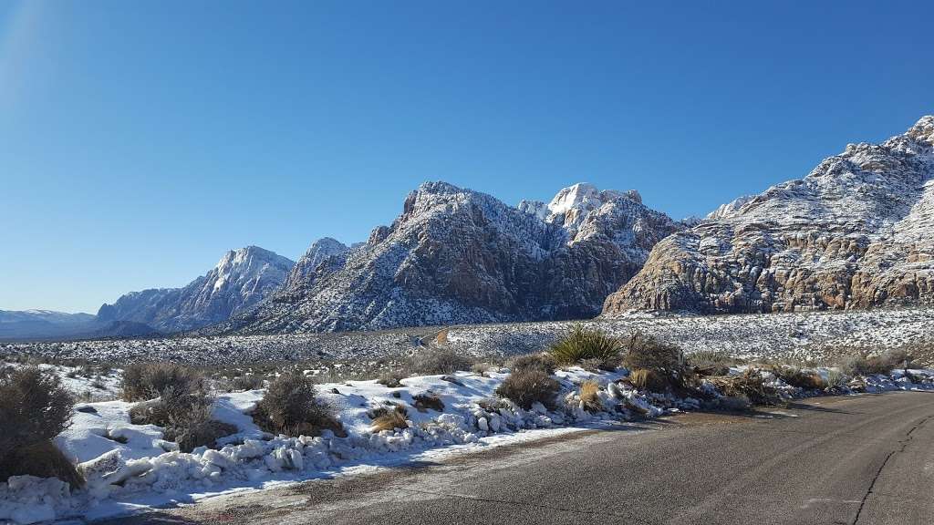 Red Rock Canyon National Conservation Area | 1000 Scenic Loop Dr, Las Vegas, NV 89161, USA | Phone: (702) 515-5350