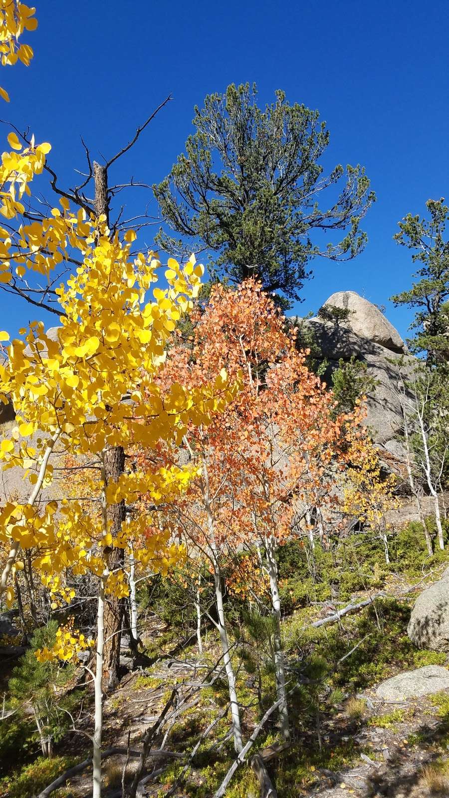 Balanced Rock | Balanced Rock Trail, Estes Park, CO 80517, USA