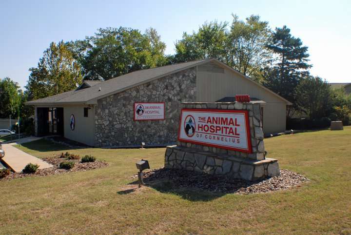 Animal Hospital of Cornelius | 18726 W Catawba Ave, Cornelius, NC 28031, USA | Phone: (704) 892-1585