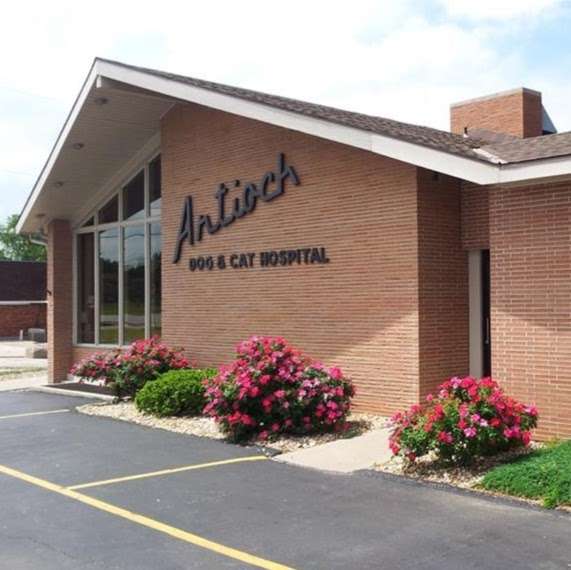 Antioch Dog & Cat Hospital | 5200 NE Vivion Rd, Kansas City, MO 64119 | Phone: (816) 453-7272