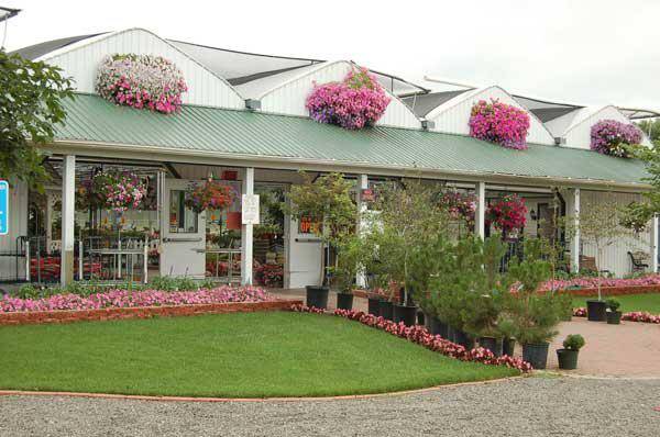 Vite Greenhouses | 2610 Redbud Trail, Niles, MI 49120, USA | Phone: (269) 695-2959