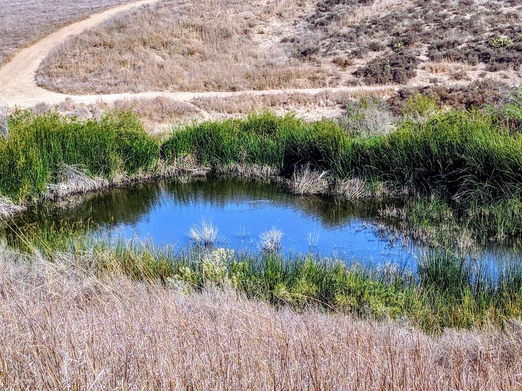 Satwiwa Native American Indian Natural Area | Westlake Village, CA 91361