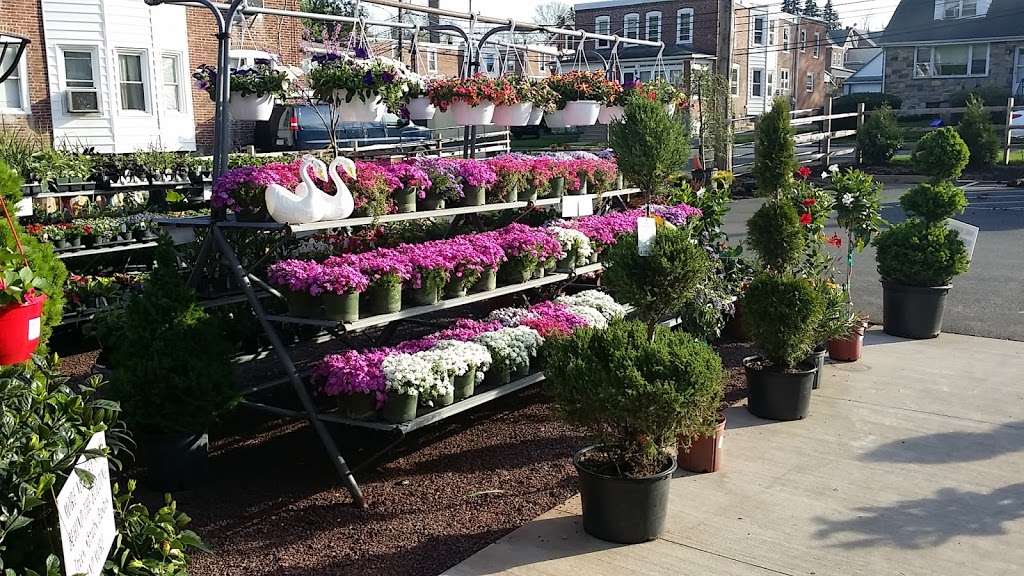 Hillside Nursery | 110 Jackson St, Clifton Heights, PA 19018, USA | Phone: (610) 626-2826